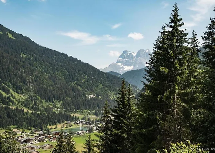 Imperial Ip402 Cosy & View 6 Pers * Châtel